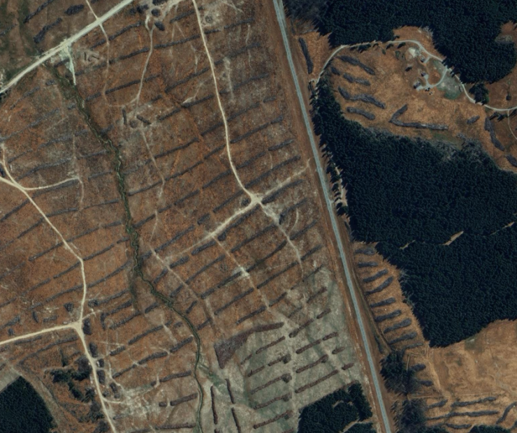 Windrows at Pukaki Downs - Google Earth